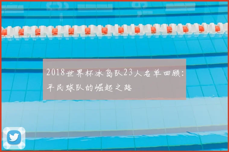 2018世界杯冰岛队23人名单回顾：平民球队的崛起之路